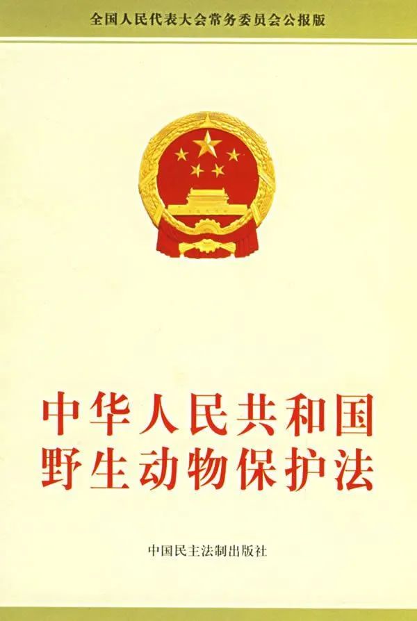雷石普法｜食用“野味”零容忍，这些行为已经涉嫌犯罪