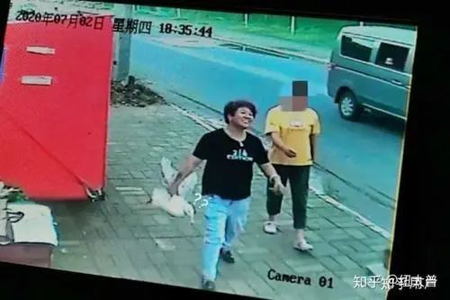 雷石普法｜从王珞丹“寻鸭启事”看盗窃罪的认定方式
