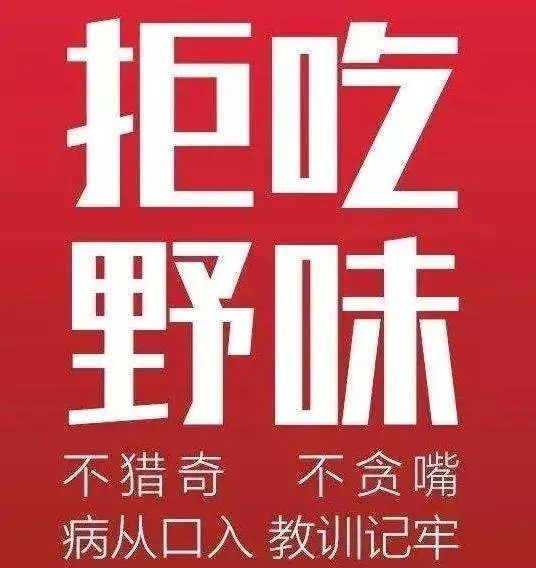 雷石普法｜食用“野味”零容忍，这些行为已经涉嫌犯罪