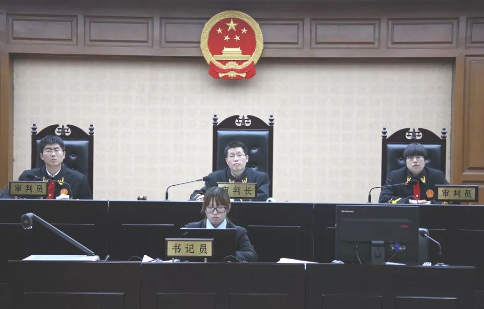 律师说|王丽丽：从审判员到律师，坚守热爱，不忘初心