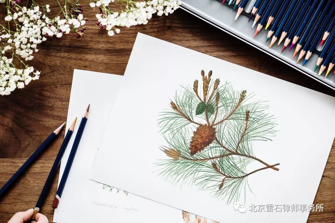 北京通州法院聚焦“三提升”全力优化副中心营商环境