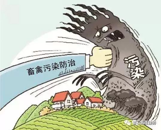 禁养令的实施？养殖场拆迁？补偿？这里面究竟有多少内幕