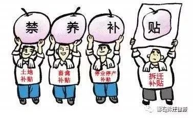 禁养令的实施？养殖场拆迁？补偿？这里面究竟有多少内幕