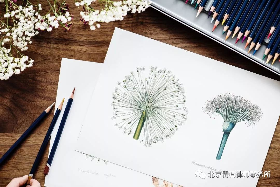 北京通州法院聚焦“三提升”全力优化副中心营商环境
