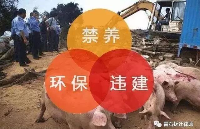 禁养令的实施？养殖场拆迁？补偿？这里面究竟有多少内幕
