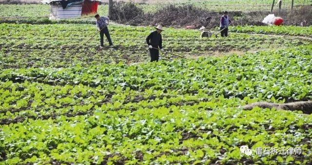 一起来了解▶农村土地复垦的补偿标准