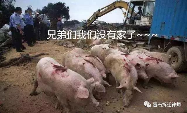 【环保拆迁，双倍补偿】你的养殖场怎么样了？