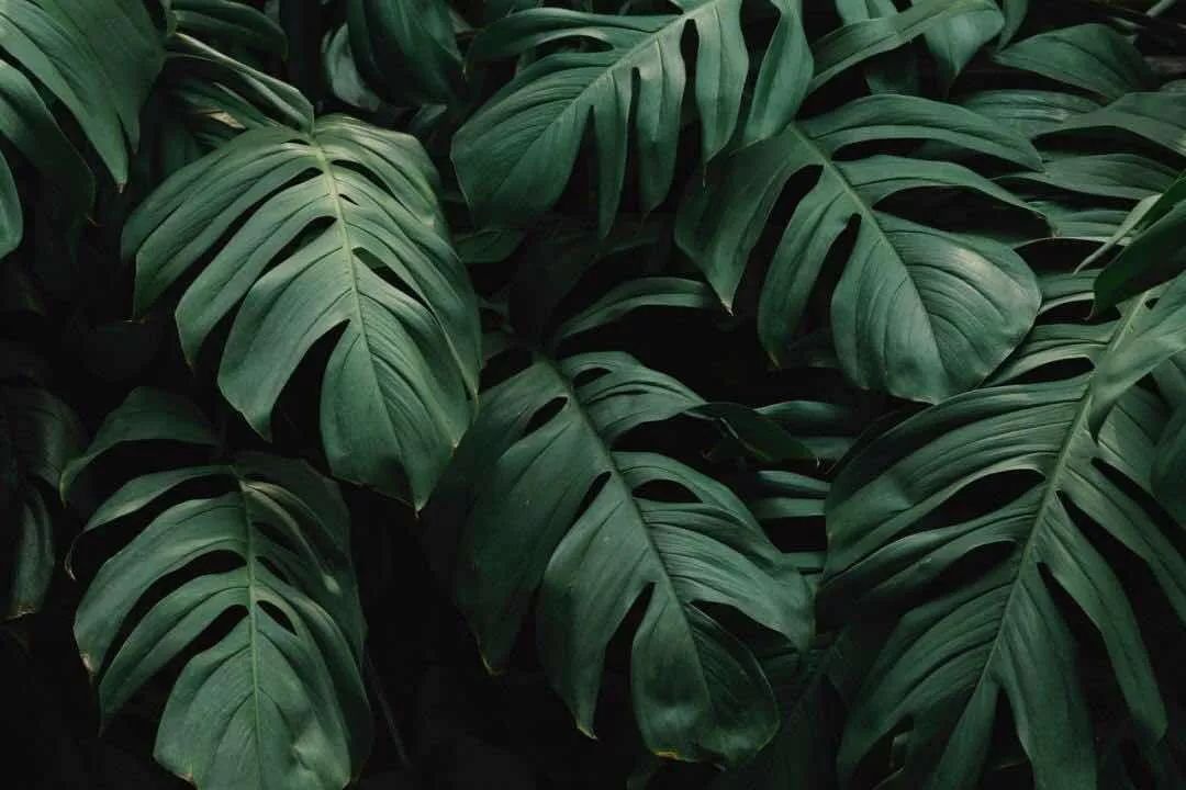 夫妻共有房产变为个人房产的2种情形 夫妻共有房产变为个人房产的2种情形