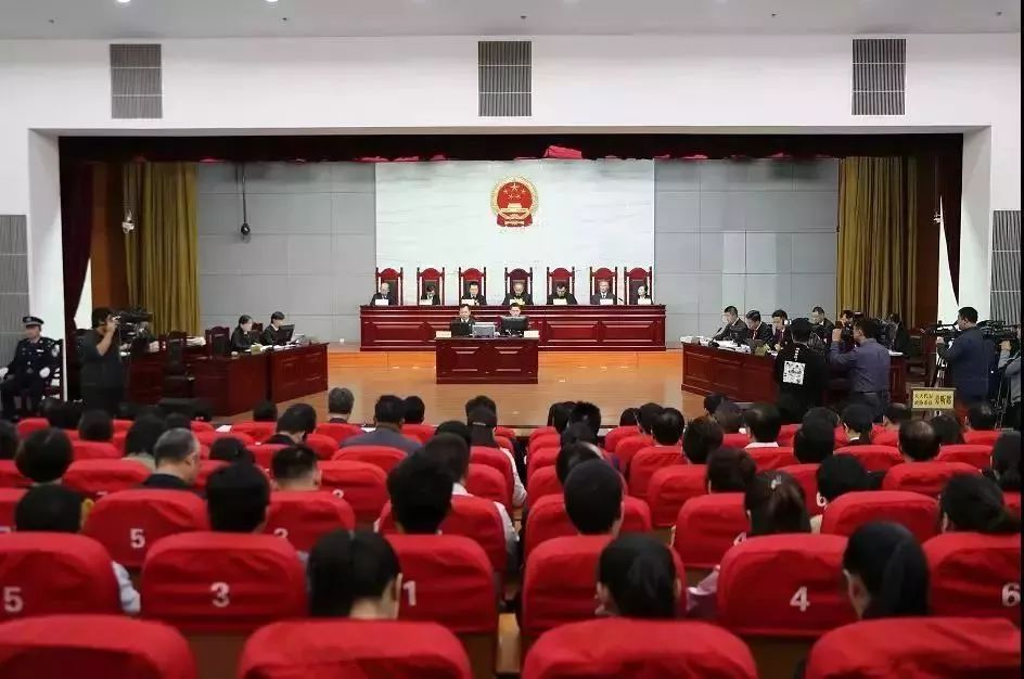 雷石普法|“特大非法捕捞长江鳗鱼苗公益诉讼案”一审宣判 雷石普法|“特大非法捕捞长江鳗鱼苗公益诉讼案”一审宣判