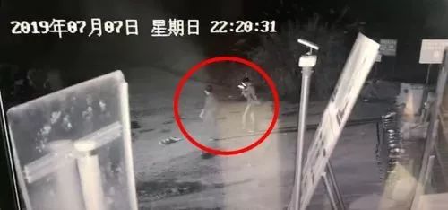 雷石普法|警方通报!女童章子欣失踪案细节! 雷石普法|警方通报!女童章子欣失踪案细节!
